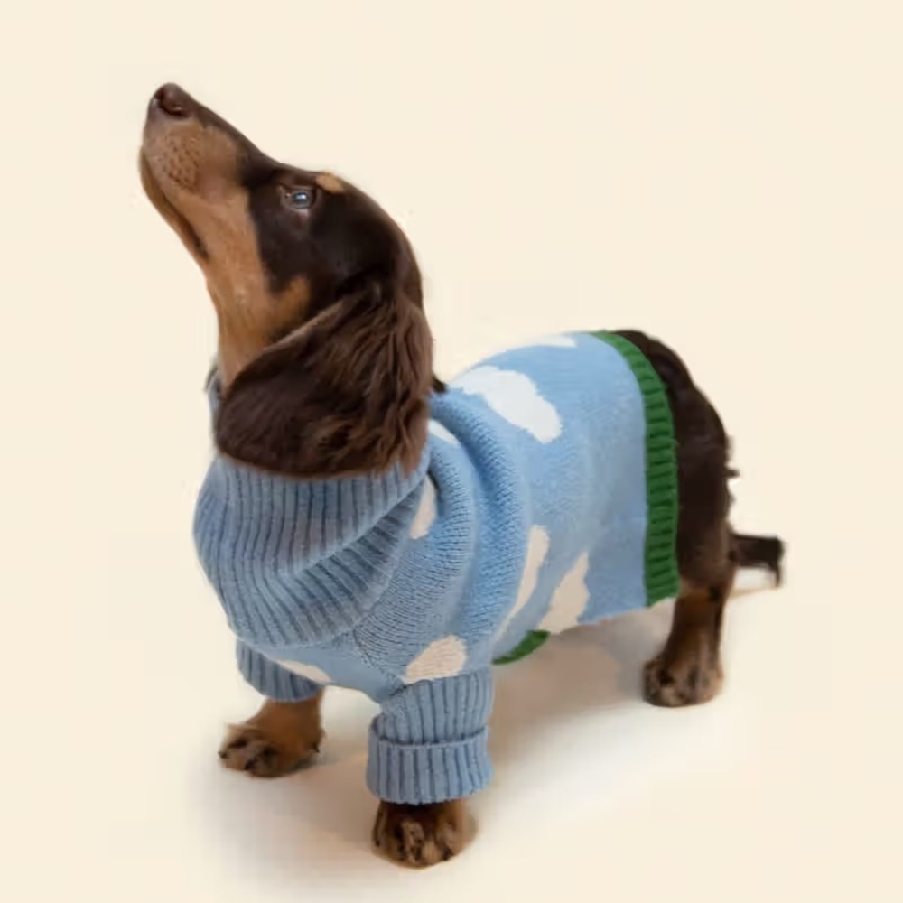 Little Beast silver lining cloud dog sweater L